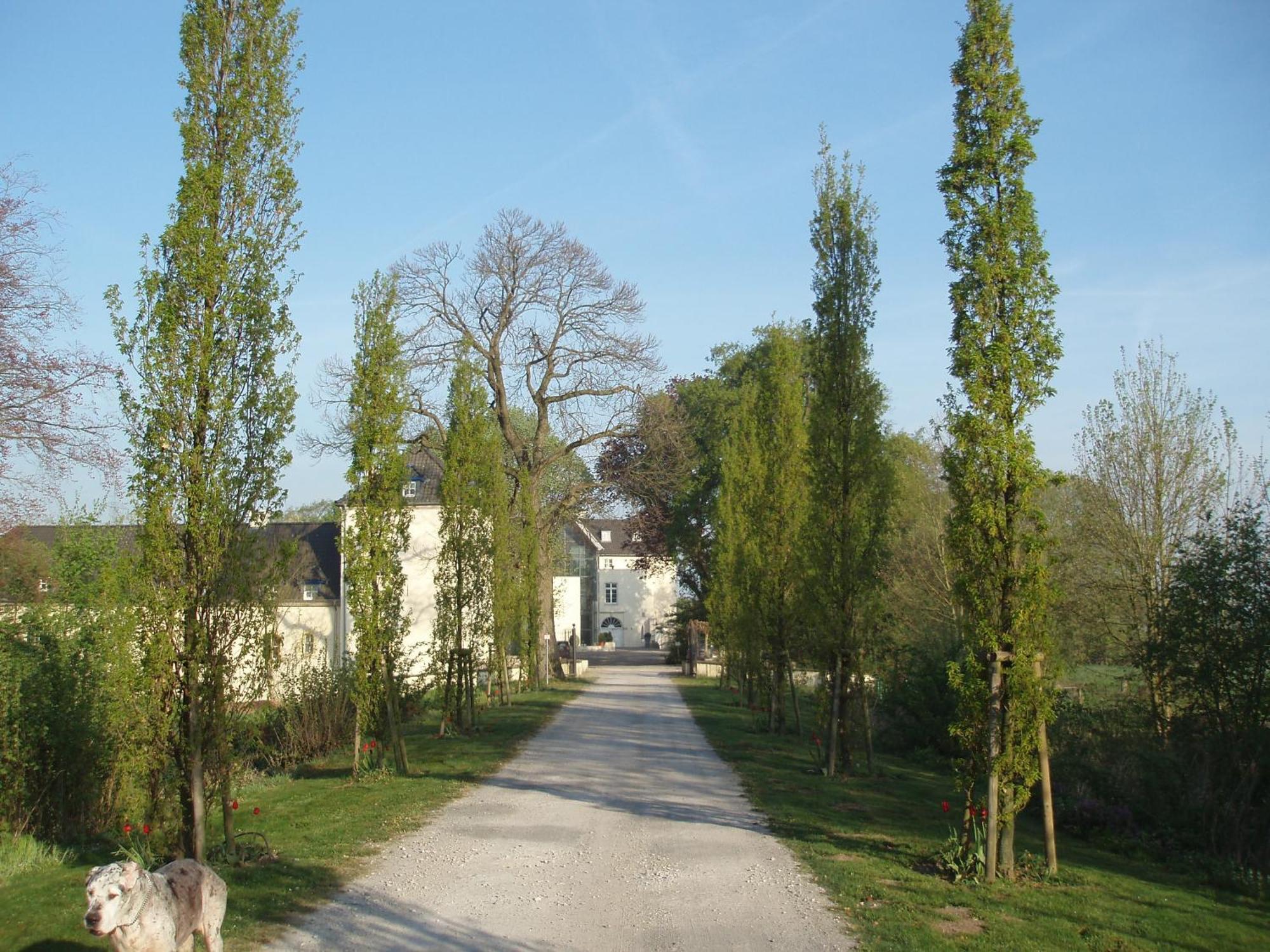 Burg Boetzelaer Hotel Kalkar Luaran gambar